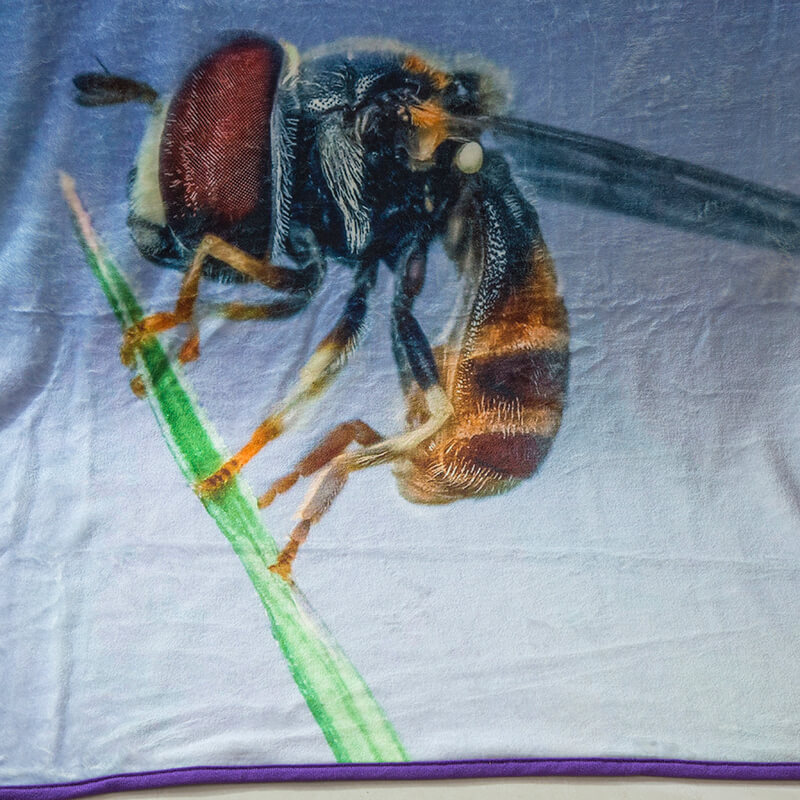 Fleece Throw Blanket