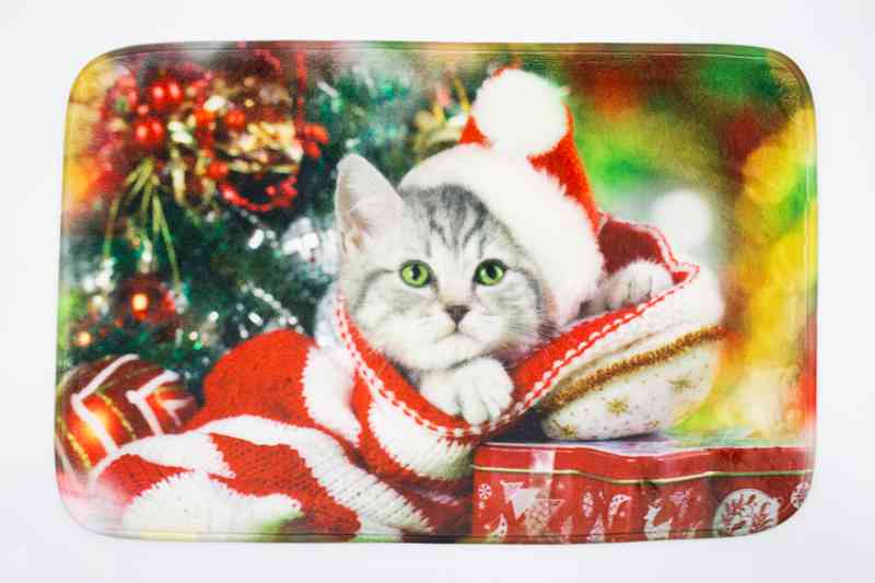 Soft microfiber bathroom mat